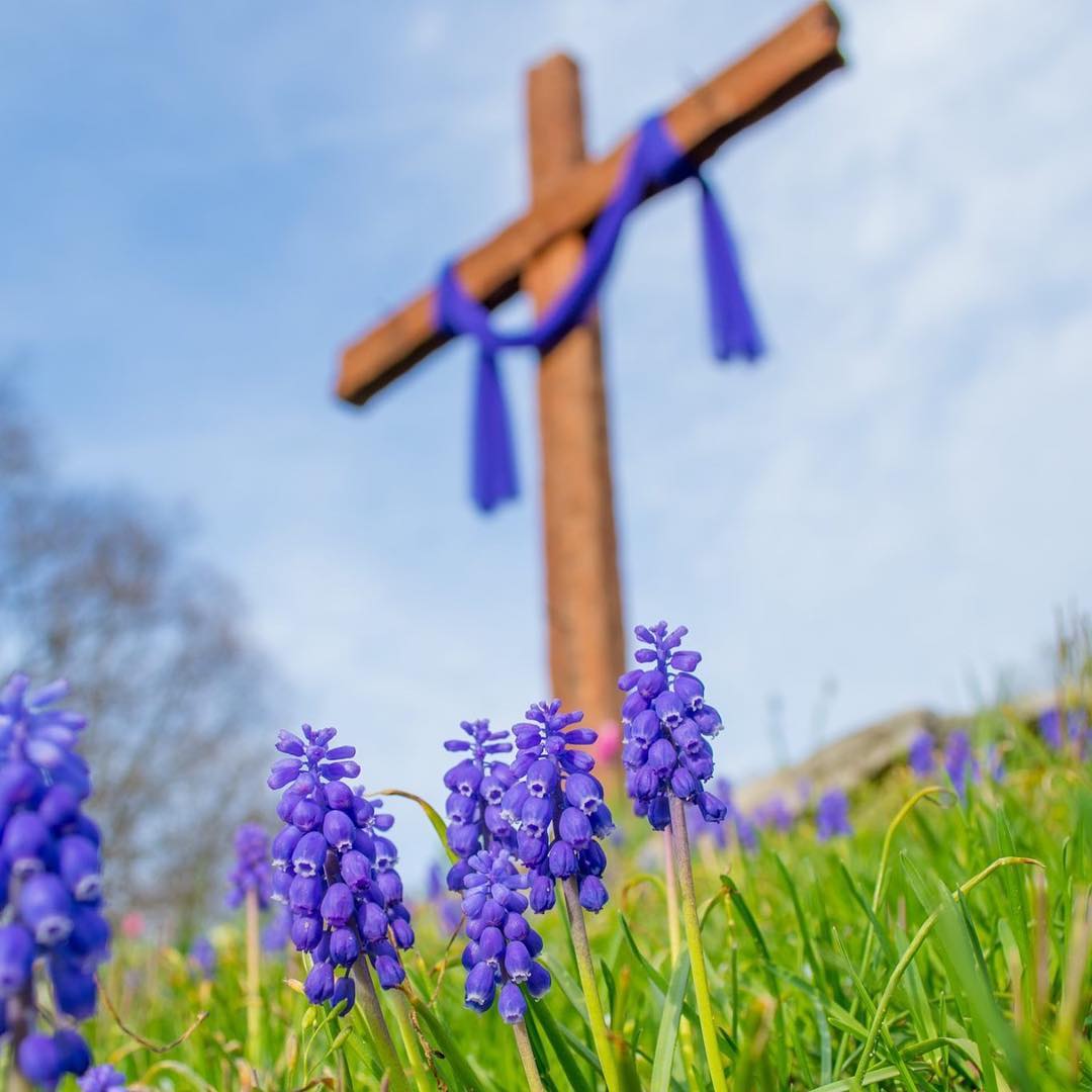 The sun unexpectedly made an appearance late this afternoon and the colors were so saturated and beautiful. This is where I get to work every day. #SpringFlowers #Cross #Spring #ElkhartCounty #Michiana #VoiceMinistries #VoiceMinistriesCamp #IHOPMichiana #indiana